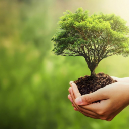 Corso Valutazione Impatto Ambientale e Valutazione Ambientale Strategica